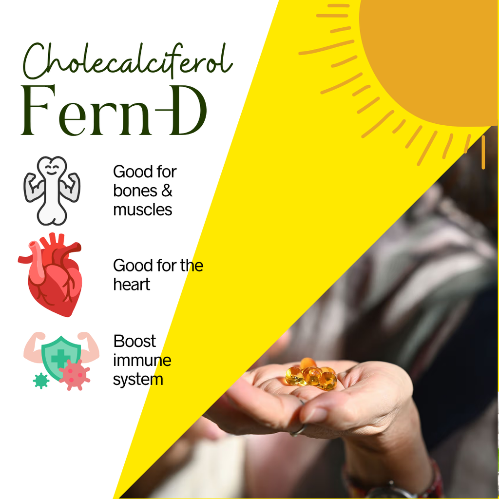 Fern-D 120s Softgel Vitamin D
